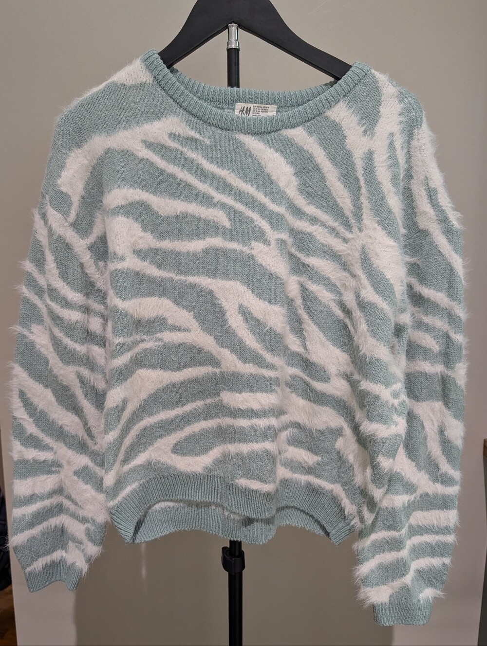H&M Mint and Cream Zebra-Pattern Crewneck Sweater